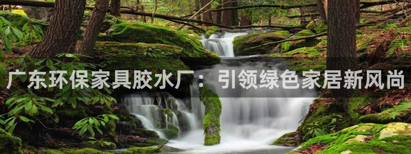 杏宇代理日工资多少：广东环保家具胶水厂：引领绿色家居新风尚