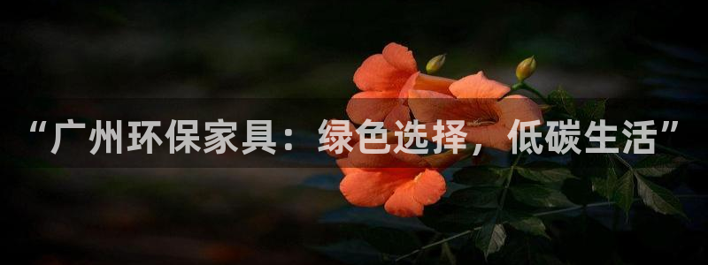 杏宇平台的专用通道