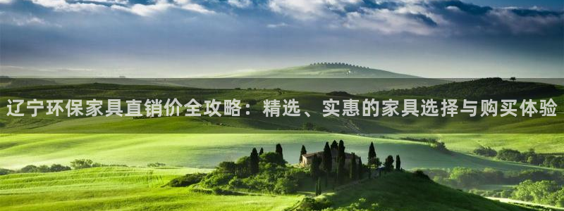 杏宇注册登入：辽宁环保家具直销价全攻略：精选、实惠的家具选择