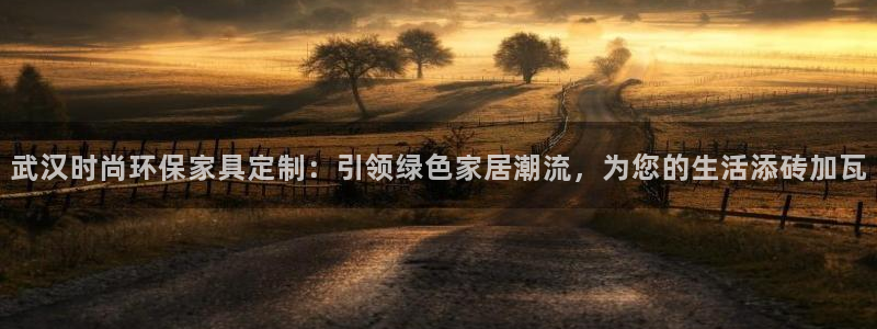杏宇平台代理登录网址是多少：武汉时尚环保家具定制：引领绿色家