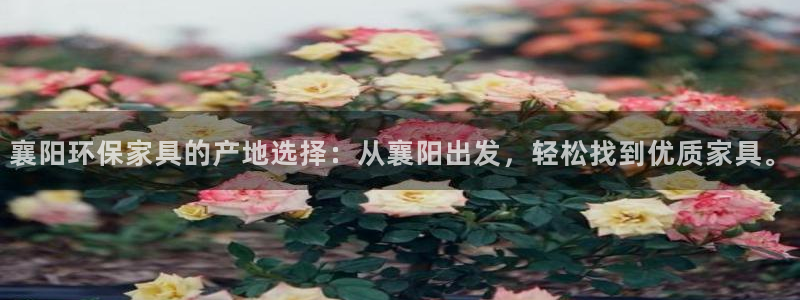 杏宇平台已7O777