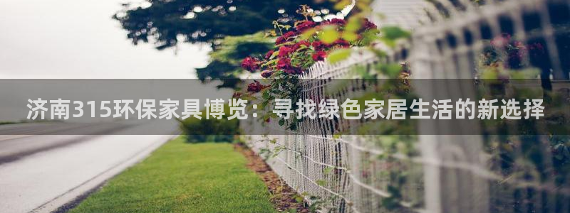 杏宇注册杏宇登陆：济南315环保家具博览：寻找绿色家居生活的