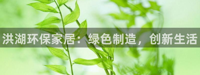 杏宇官网网站：洪湖环保家居：绿色制造，创新生活