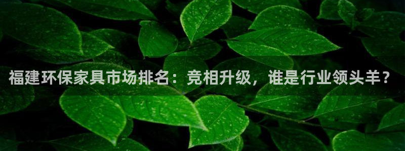 杏宇注册登陆：福建环保家具市场排名：竞相升级，谁是行业领头羊