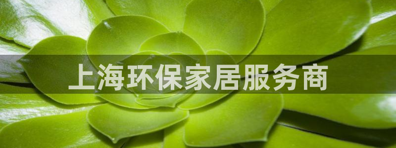 杏宇平台怎么样：上海环保家居服务商