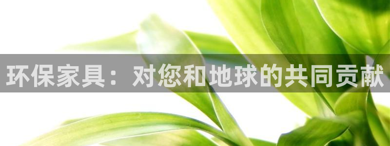 杏宇平台测：环保家具：对您和地球的共同贡献