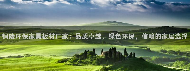 杏宇平台怎么样?：铜陵环保家具板材厂家：品质卓越，绿色环保，