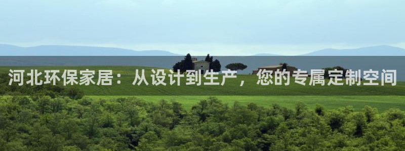 杏宇代理官网：河北环保家居：从设计到生产，您的专属定制空间