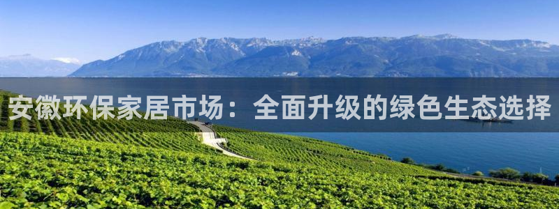 杏宇平台手机下载：安徽环保家居市场：全面升级的绿色生态选择